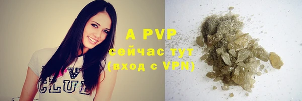 спиды Покачи