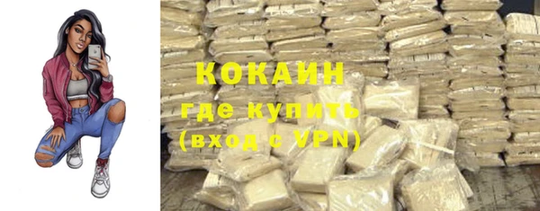 гидра Бутурлиновка