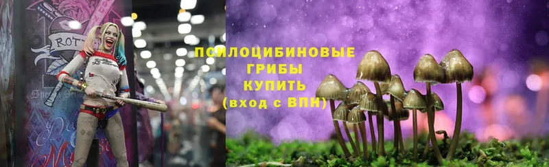 Галлюциногенные грибы MAGIC MUSHROOMS  где купить наркотик  mega как зайти  Севастополь 