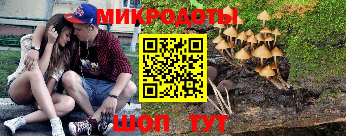 Псилоцибиновые грибы Magic Shrooms Севастополь