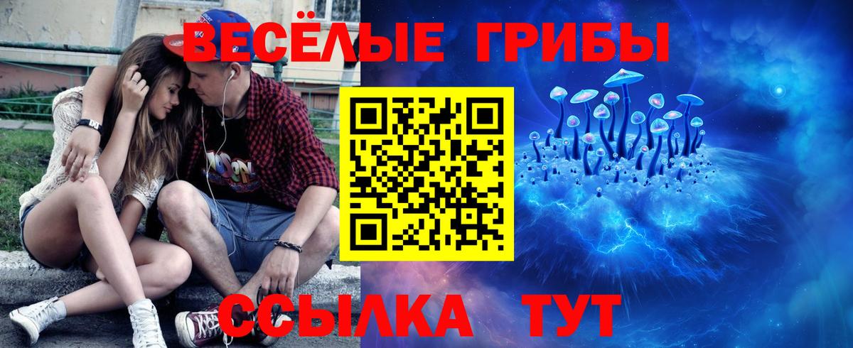 Галлюциногенные грибы Psilocybine cubensis  Вход с VPN  Севастополь 